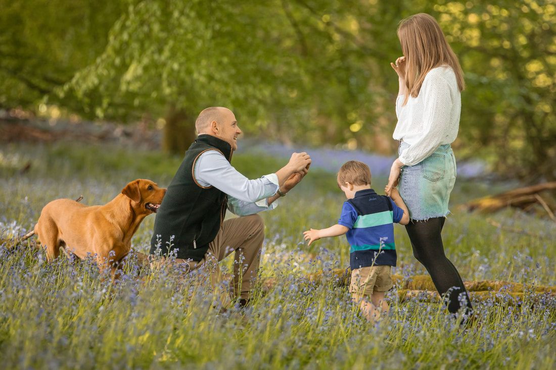 People walking through a meadow filled with wildflowers on a sunny spring day.
