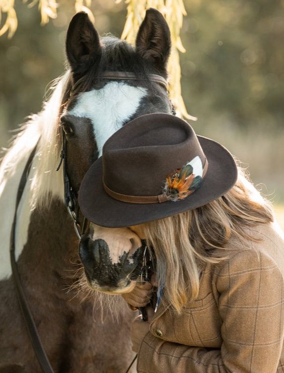 Close-up side view of a brown horse wearing a dark cowboy hat with a decorative feather against a blurred background.