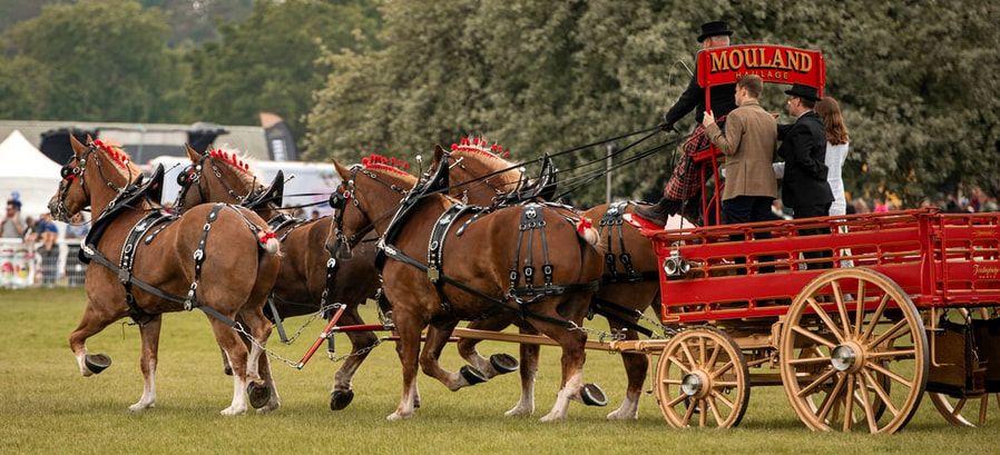 Vintage red horse-drawn wagon and Clydesdale horses on display at a heritage festival event.