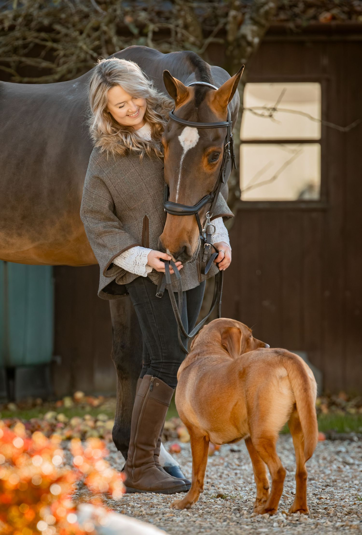 A person in a gray sweater stands with a bay horse on a gravel path with autumn foliage in the background.