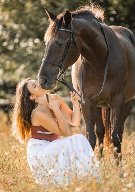 A beautiful bay horse and companion share a tender moment in a sunlit meadow with wildflowers.