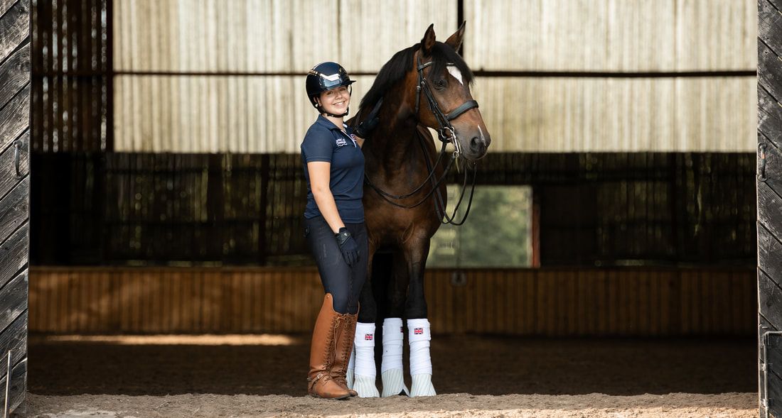 A series of equestrian photos showing a horse and rider performing various movements in a covered arena.