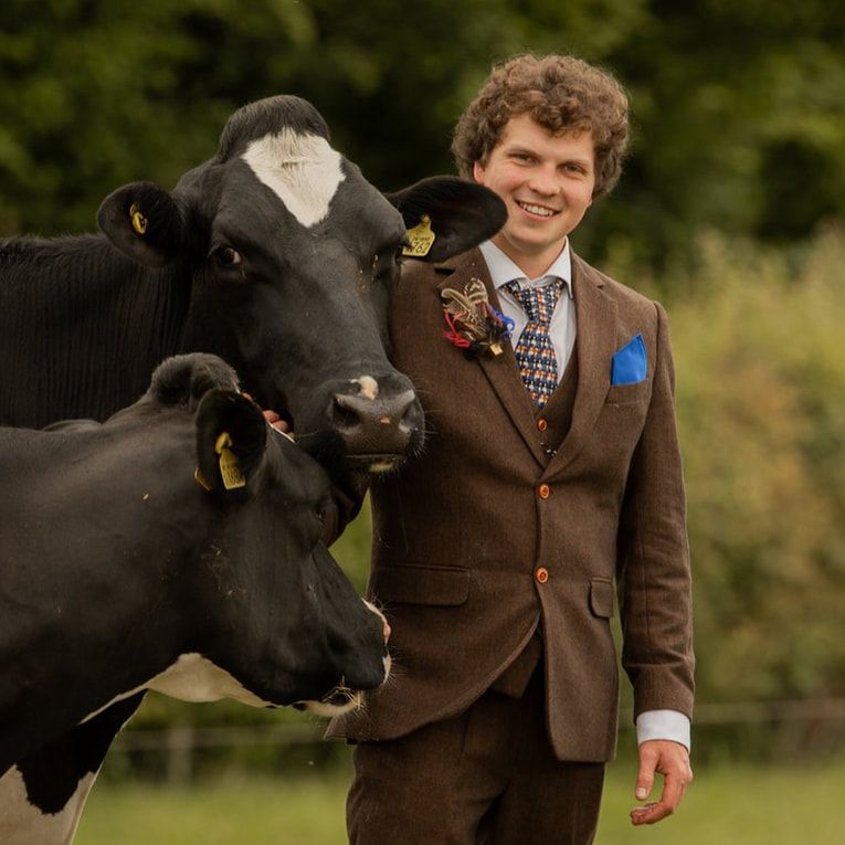 A curious black cow leans in close to someone wearing a brown suit jacket in a pastoral field setting.