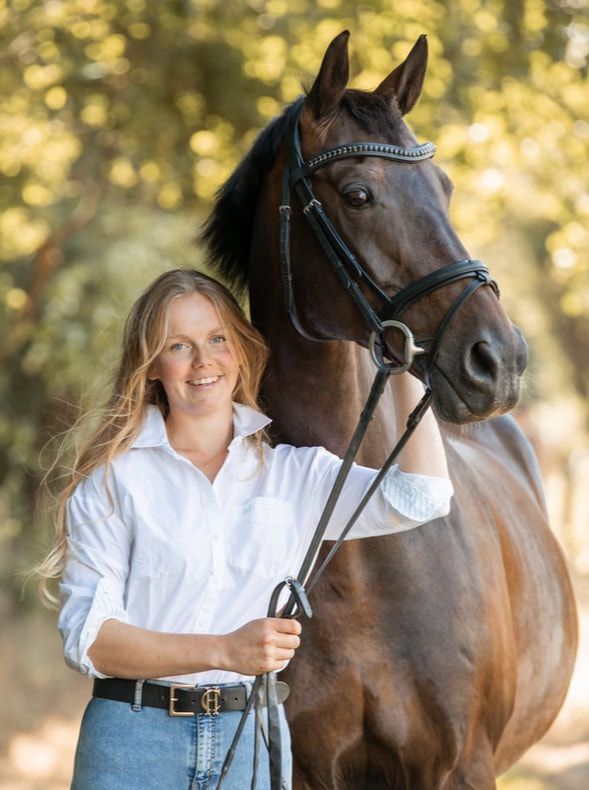 A series of four photos showing a person in white shirt posing with a beautiful dark brown horse in an outdoor setting.