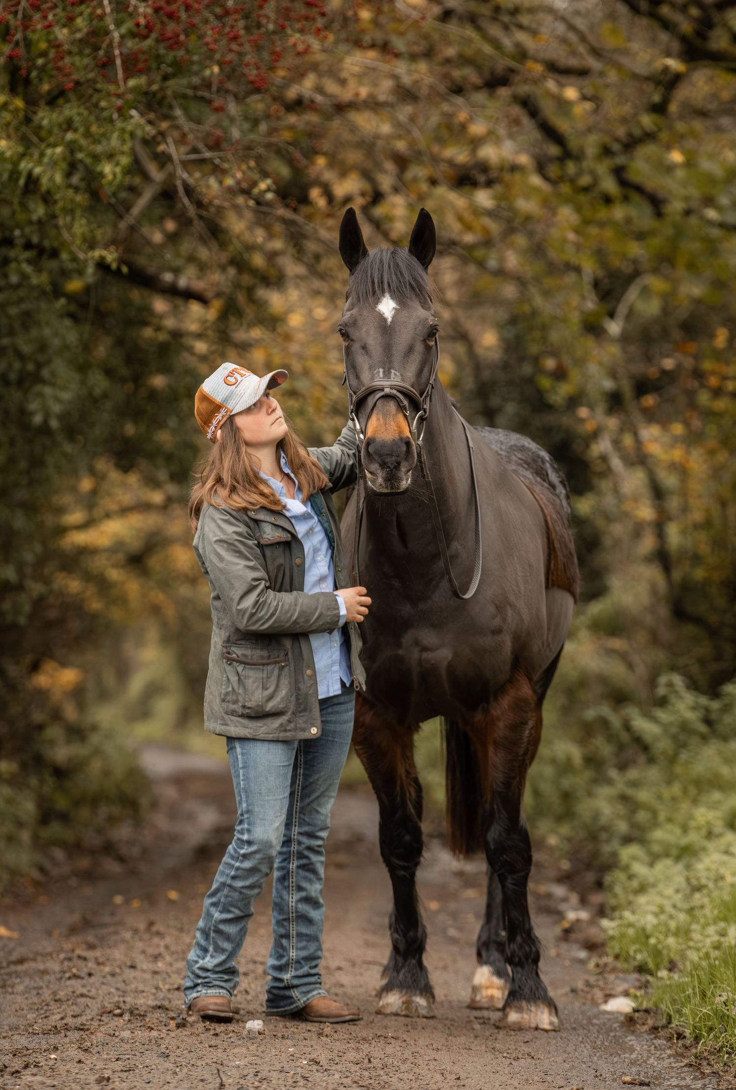 A gentle interaction between a person in casual attire and a majestic black draft horse on an autumn forest path.