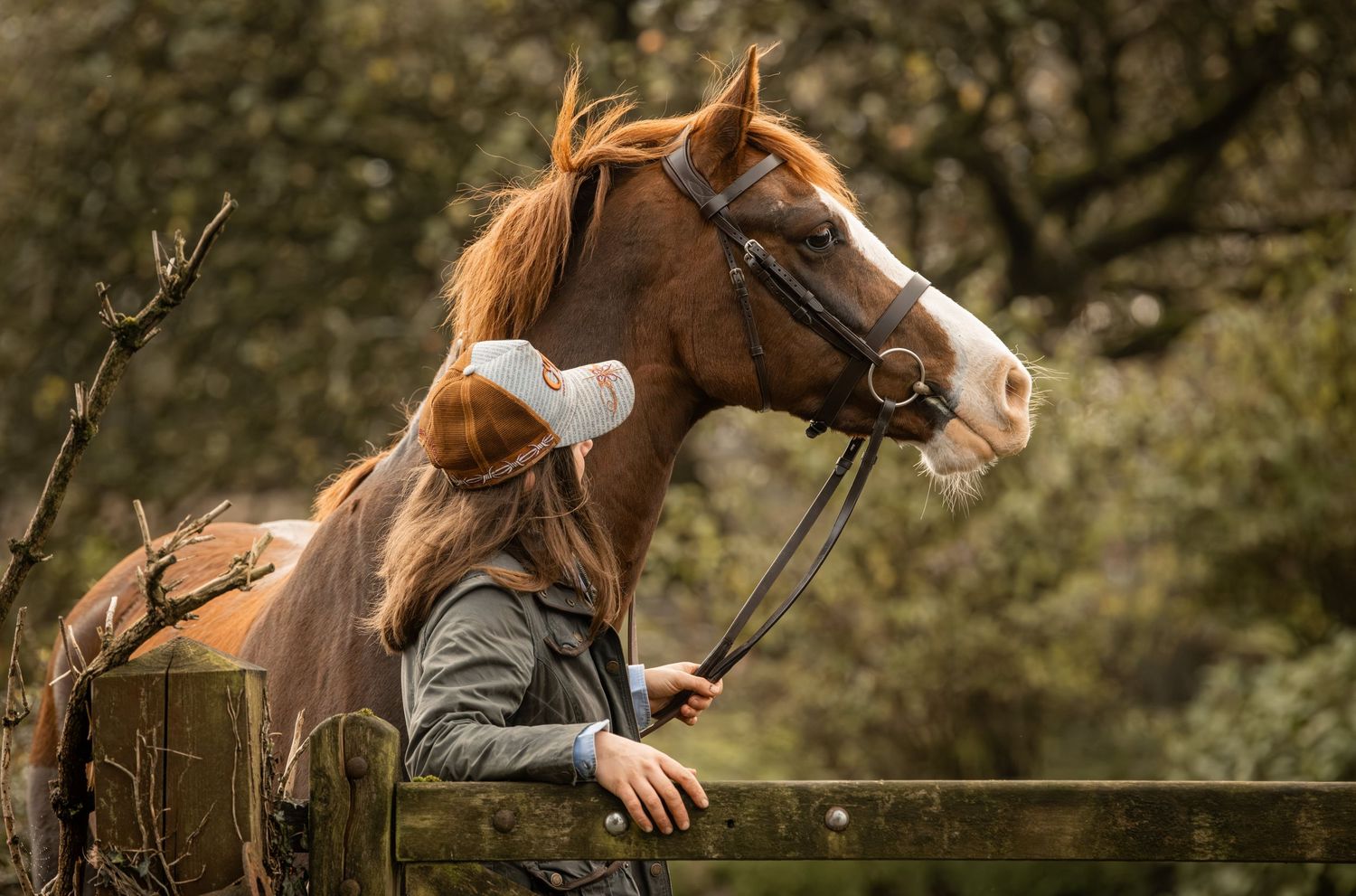 A chestnut horse with a white blaze stands in a sunlit field wearing a leather bridle and halter.