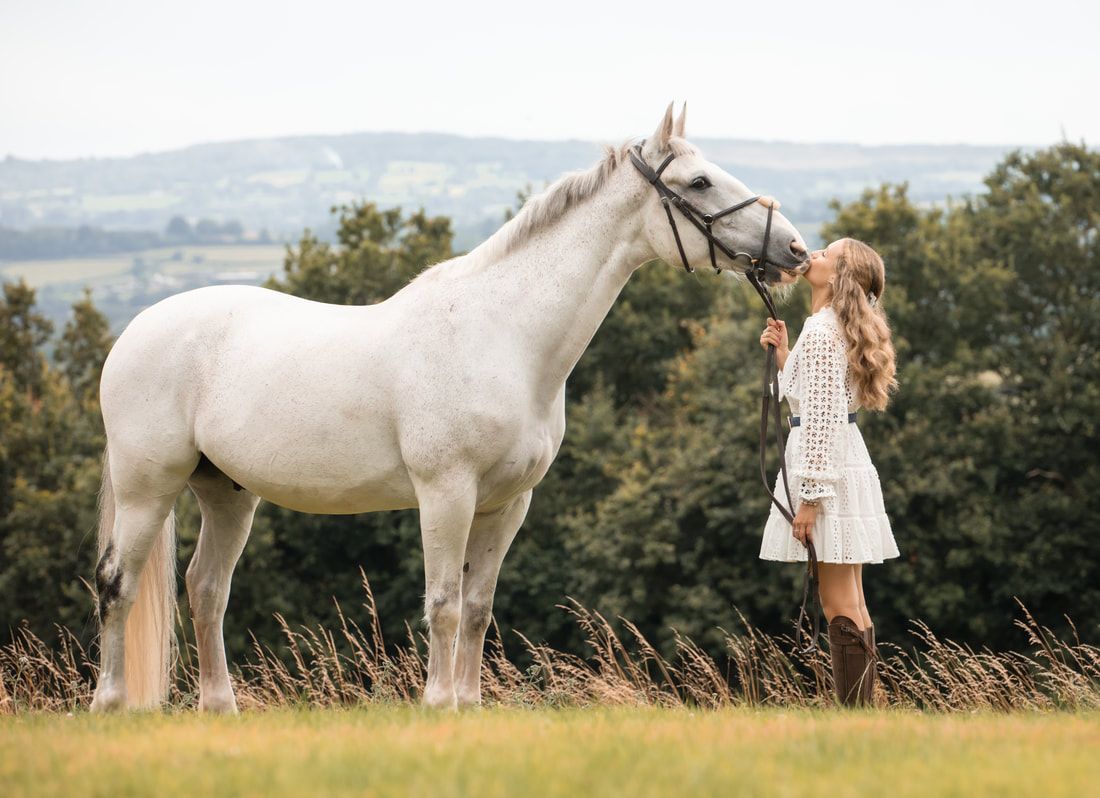 A beautiful white horse stands in a grassy meadow with rolling hills in the background on a sunny day.