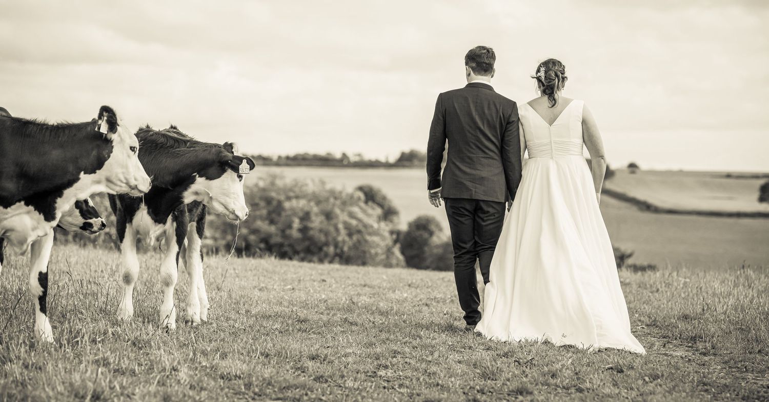 A series of black and white wedding photographs showing couples walking through outdoor fields and meadows.
