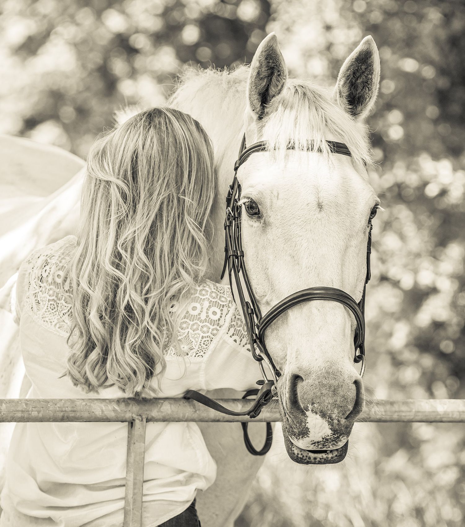 Close up of horse and rider bonding moment in black and white.