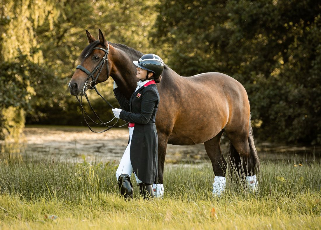 Person grooming a brown horse in a grassy field during golden hour lighting.