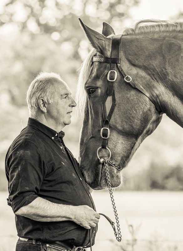 A series of black and white photos showing a tender moment between a person and their horse in an outdoor setting.