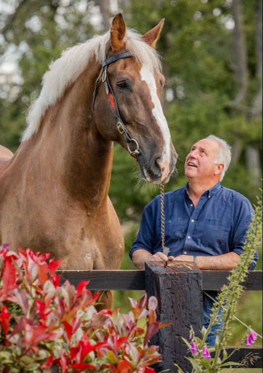 A series of photos showing a person in blue shirt sharing a tender moment with a chestnut horse by a wooden fence.