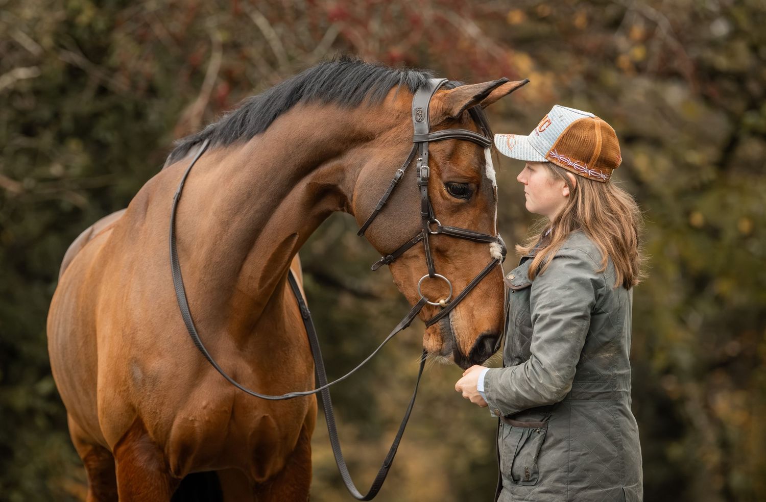 A chestnut brown horse wearing a bridle stands close to someone in a gray jacket and baseball cap during autumn.