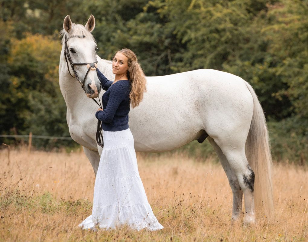A beautiful white horse and companion stand together in a golden meadow during sunset.
