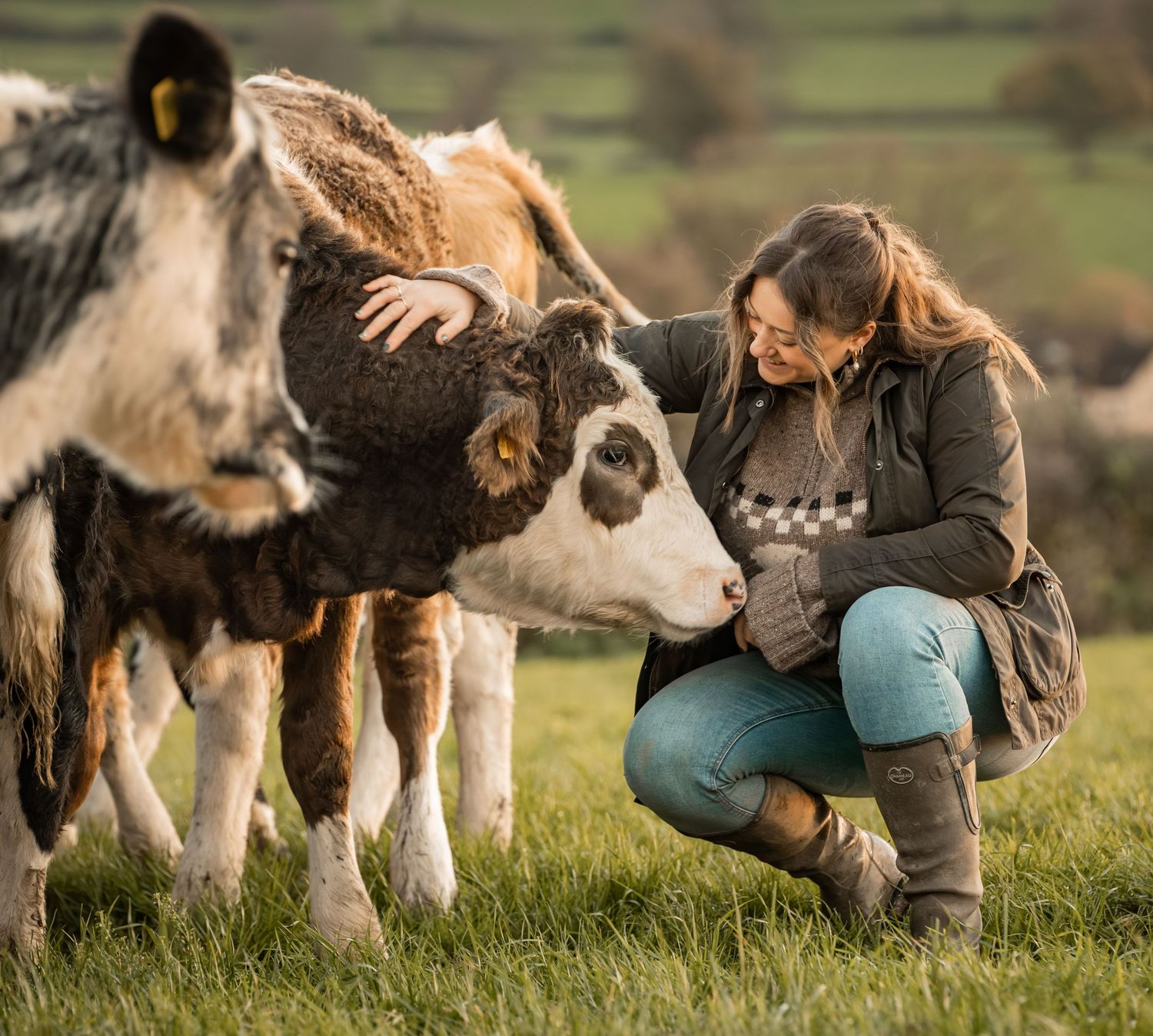 A series of connected images showing someone petting and interacting with a miniature donkey in a grassy field.