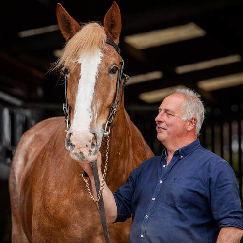 A chestnut horse with a white blaze stands in a stable while being attended to by someone in blue.