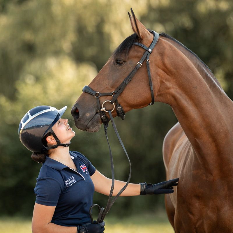 A close-up sequence showing the grooming and preparation of a brown horse wearing riding equipment.