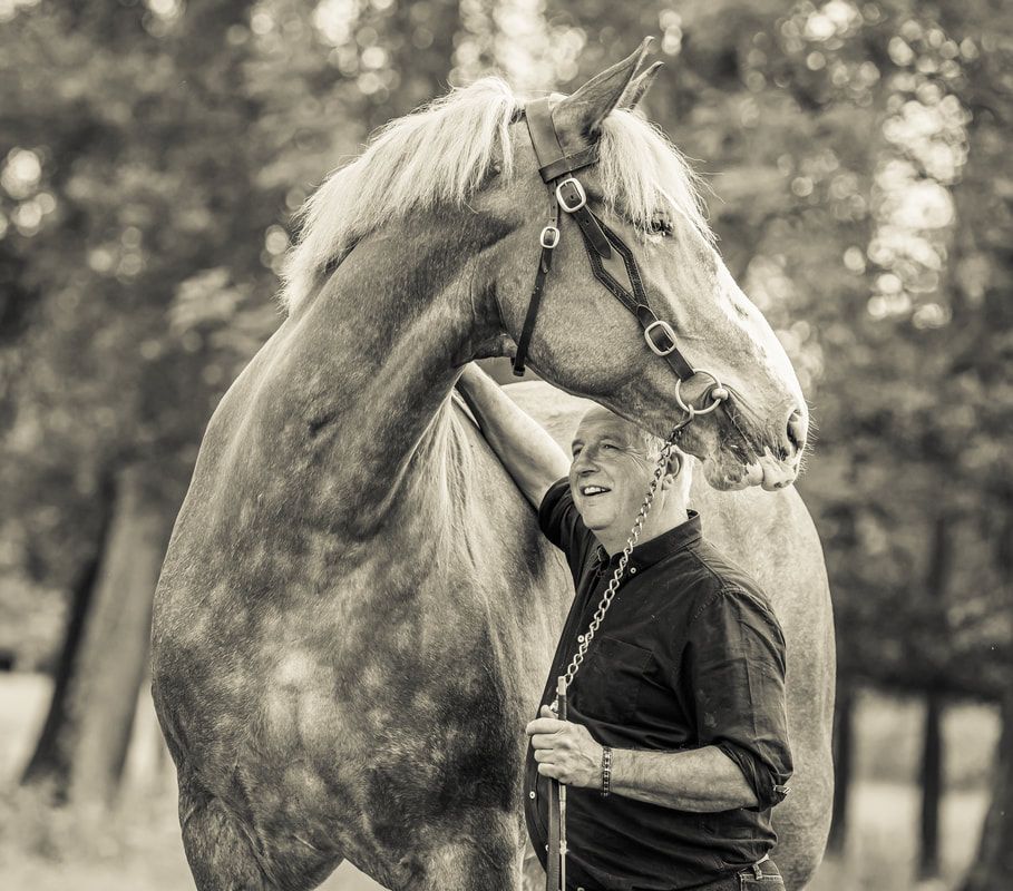 A series of black and white photographs showing a horse and rider in different poses during an equestrian session.