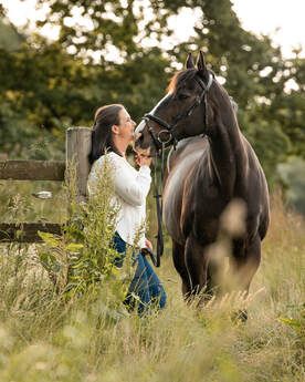 A series of photos showing a person interacting with a black horse in a sunlit meadow with tall grass and wildflowers.