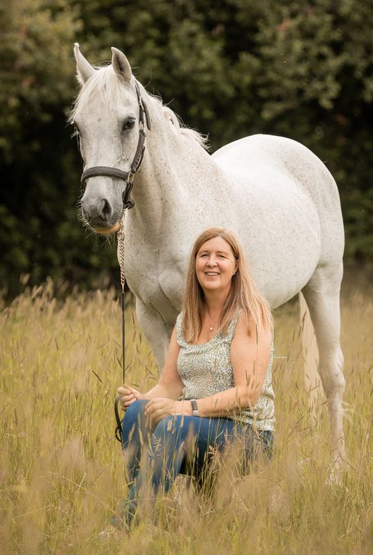 Beautiful white horse standing in a tall grass meadow with soft natural lighting and blurred background.