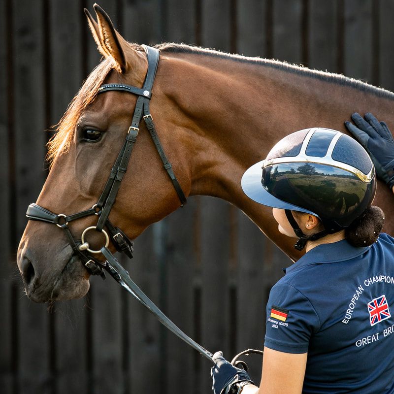 Close-up shots of competition horses wearing navy blue equipment and bridles.