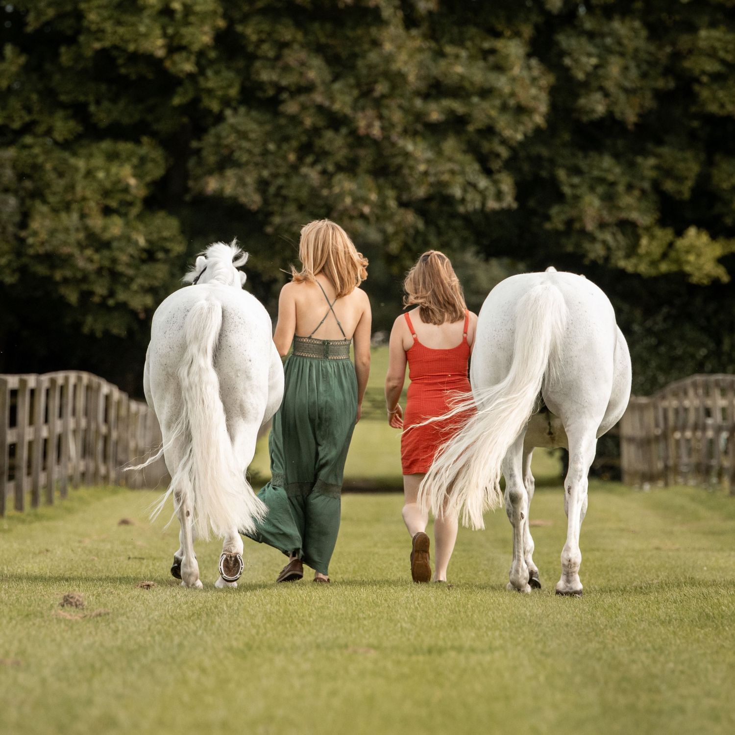 Two sisters walking with white horses in grassy field on an equestrian property near Badminton Horse Trails.
