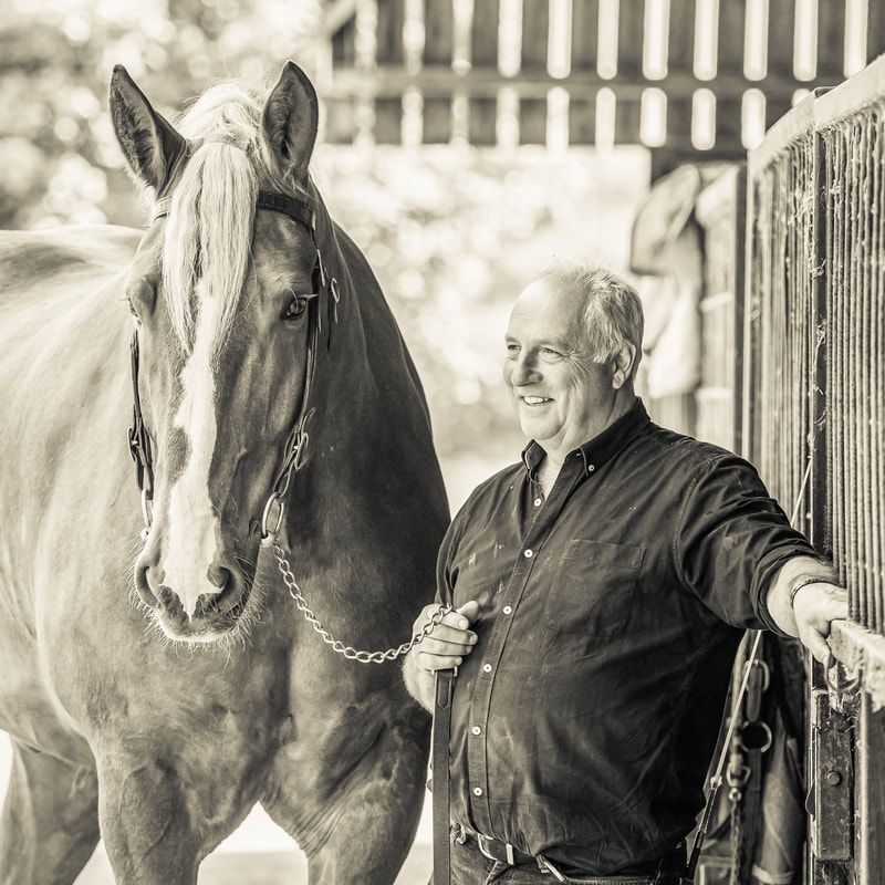 A black and white photograph showing horses in stables with their handlers and wooden stall dividers.