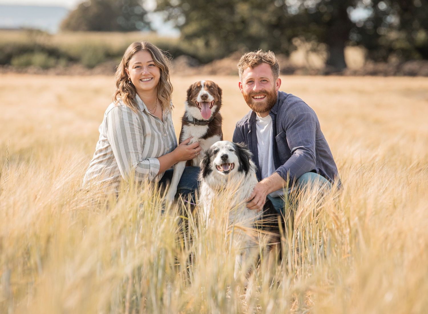 Couple with their working dogs sitting together in golden barley field during sunset photo session with Sophie Edmunds Photography.