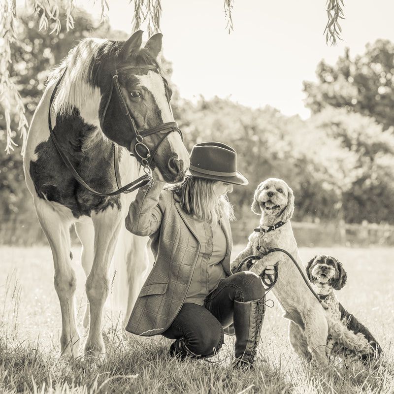 A series of black and white photos showing a dog interacting with a horse in a grassy field.