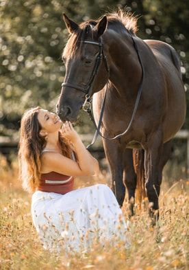 A brown horse and companion share a tender moment in a sunlit meadow with golden bokeh lighting effects in the background.