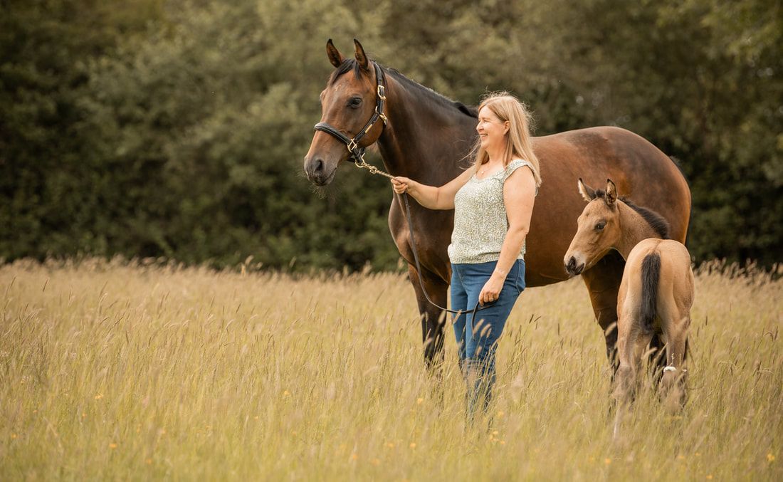 A person in a white tank top and jeans leads a brown horse through a sunlit summer meadow with tall grass.