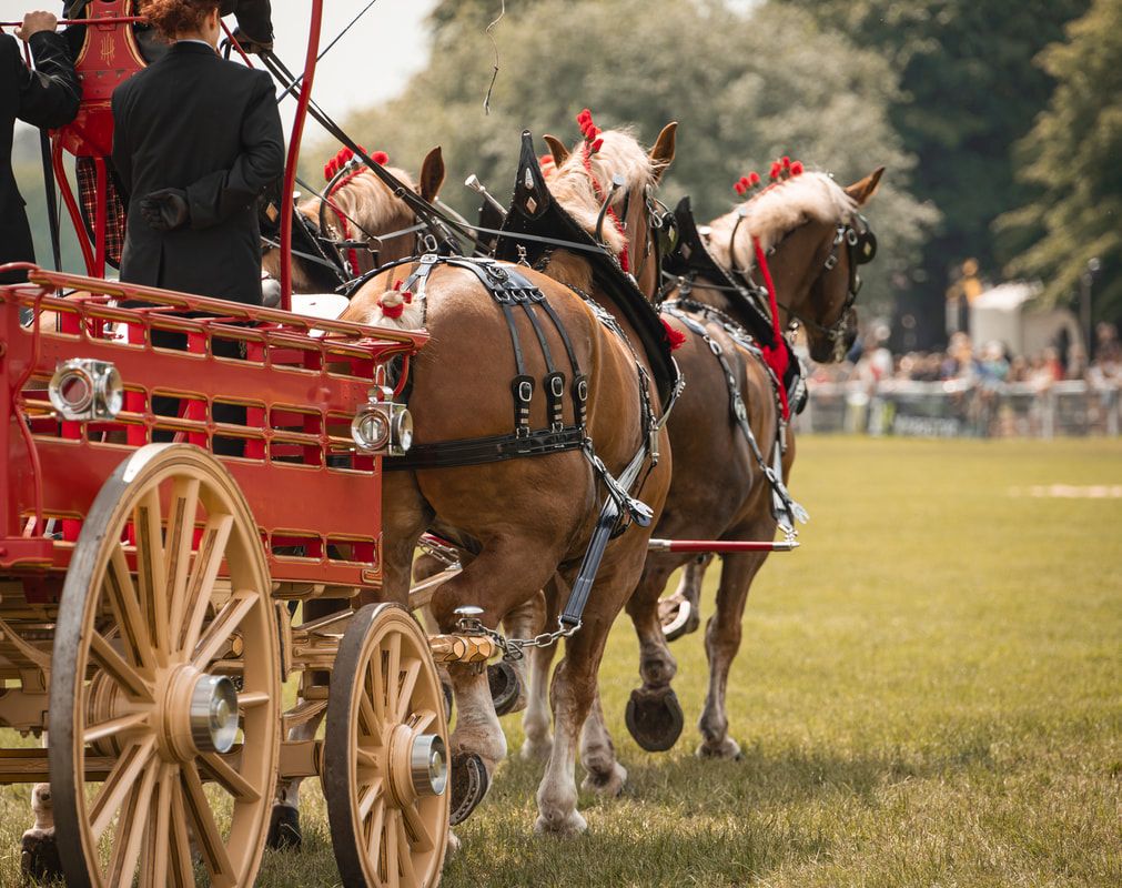 Close-up view of red wooden wagon wheels and horse hooves on grassy field during a traditional carriage event.