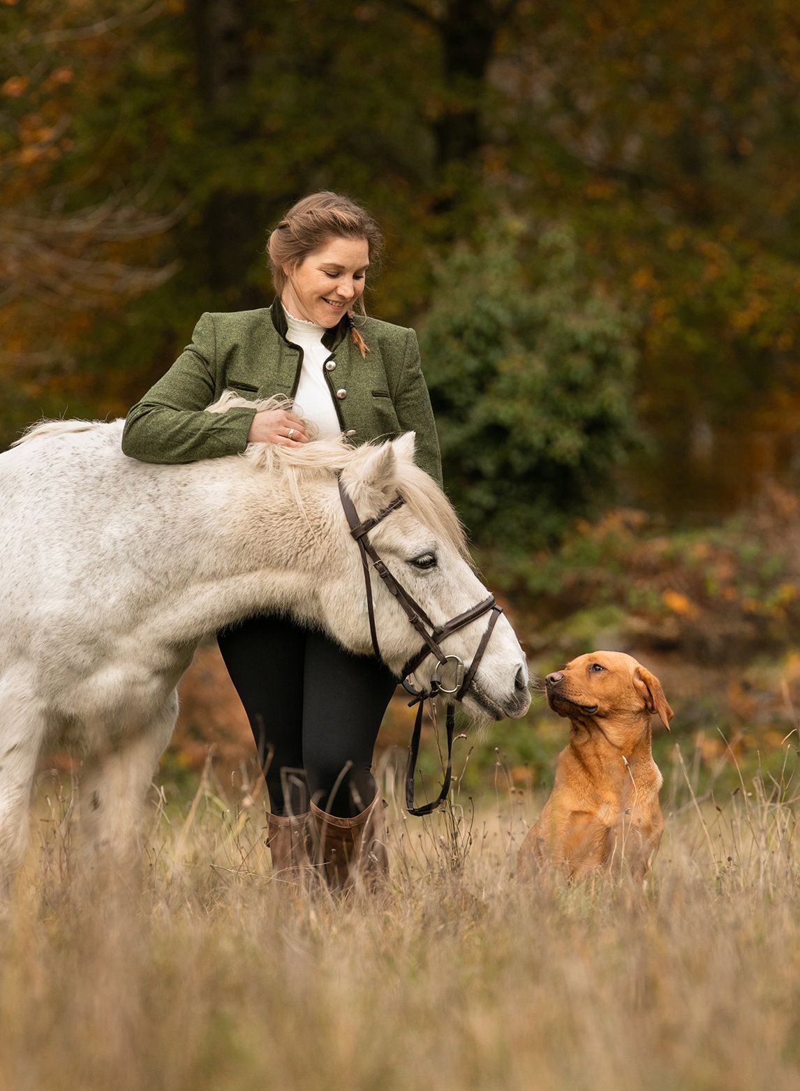 Lady with a white horse and fox red labrador in a field in  the new forest during autumn.