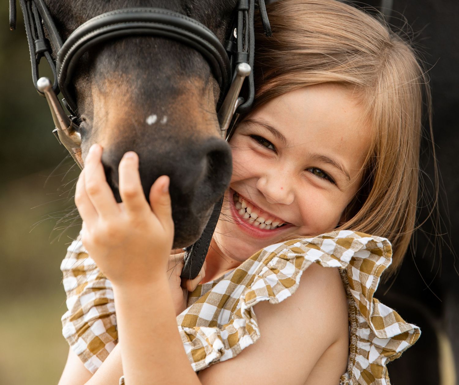 A close interaction between a dark brown horse and someone showing affection.
