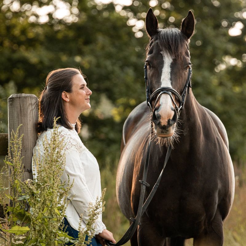 Person in white shirt interacting with dark horse in natural outdoor setting.
