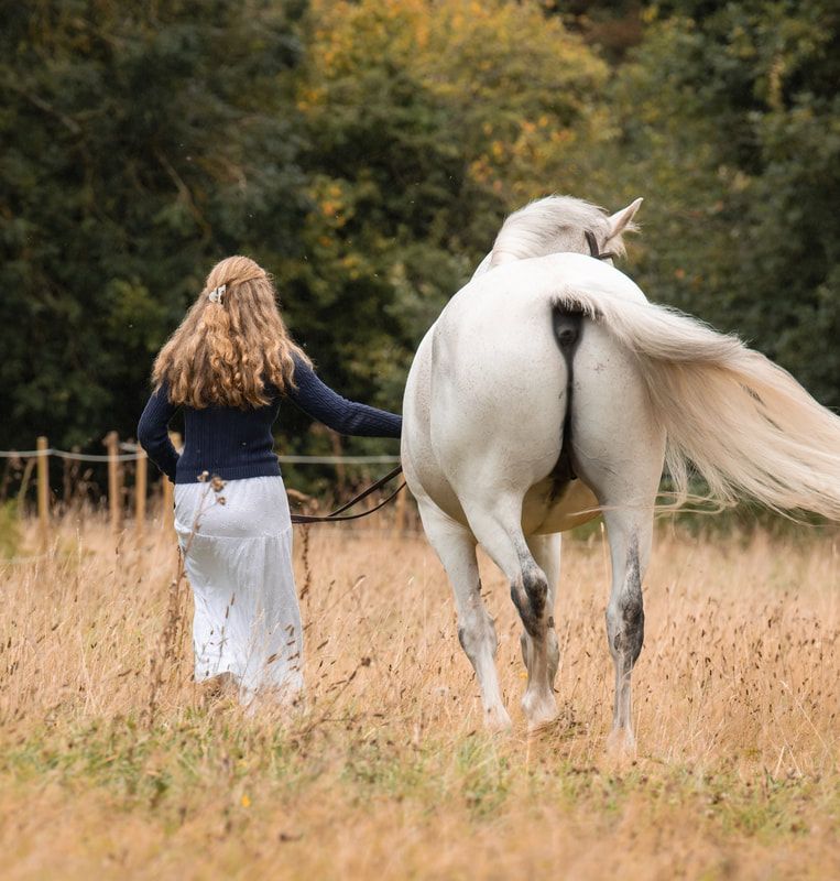 A white horse and rider walking through tall autumn grass in a peaceful outdoor setting.