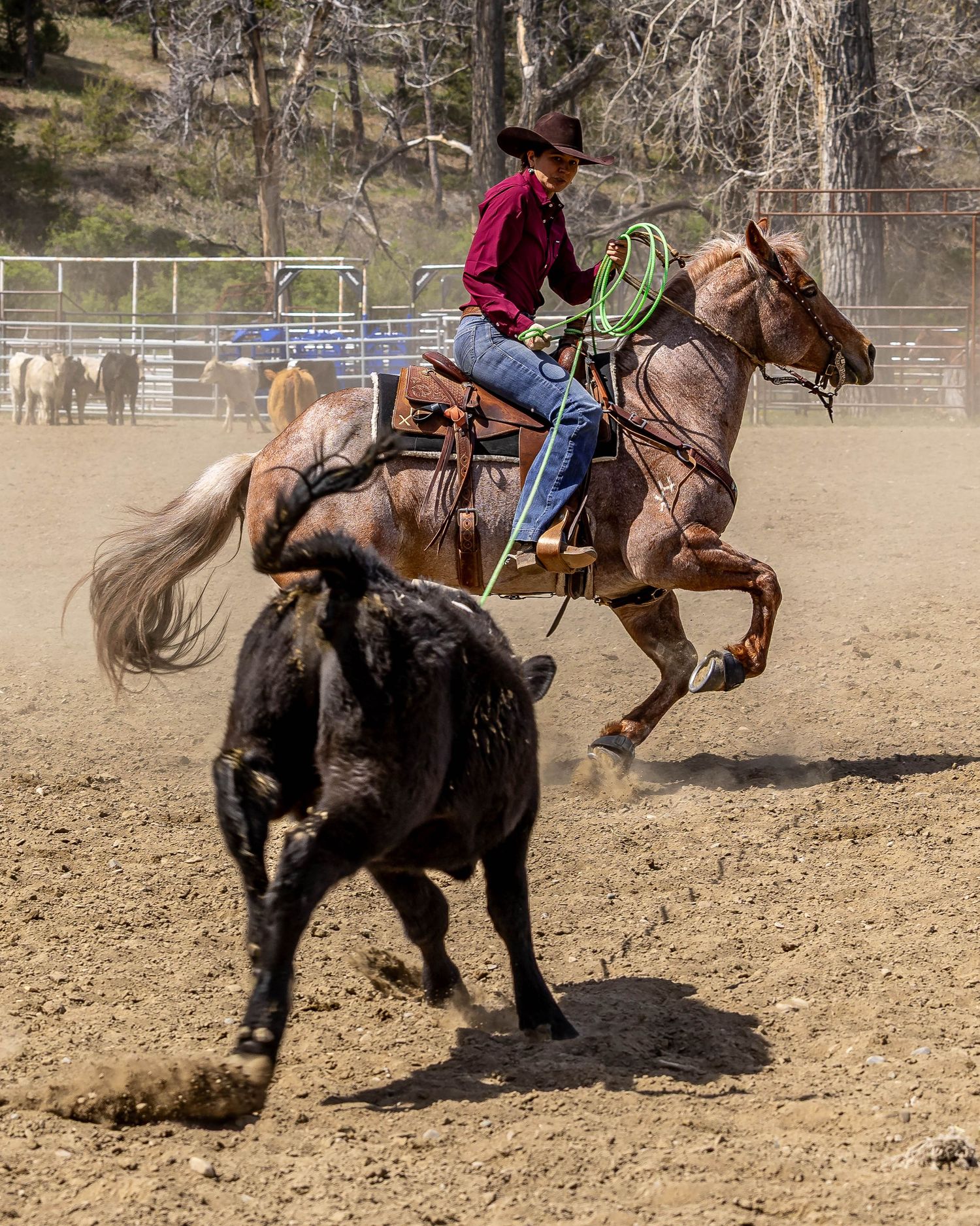 Ranch Rodeo