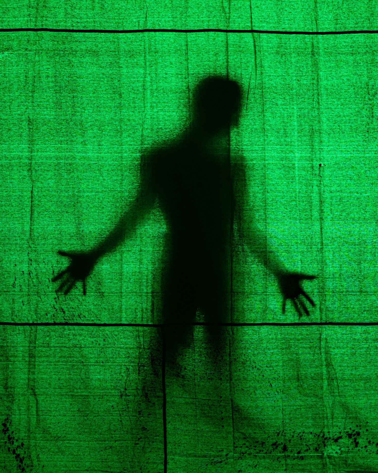 Production Photo of 