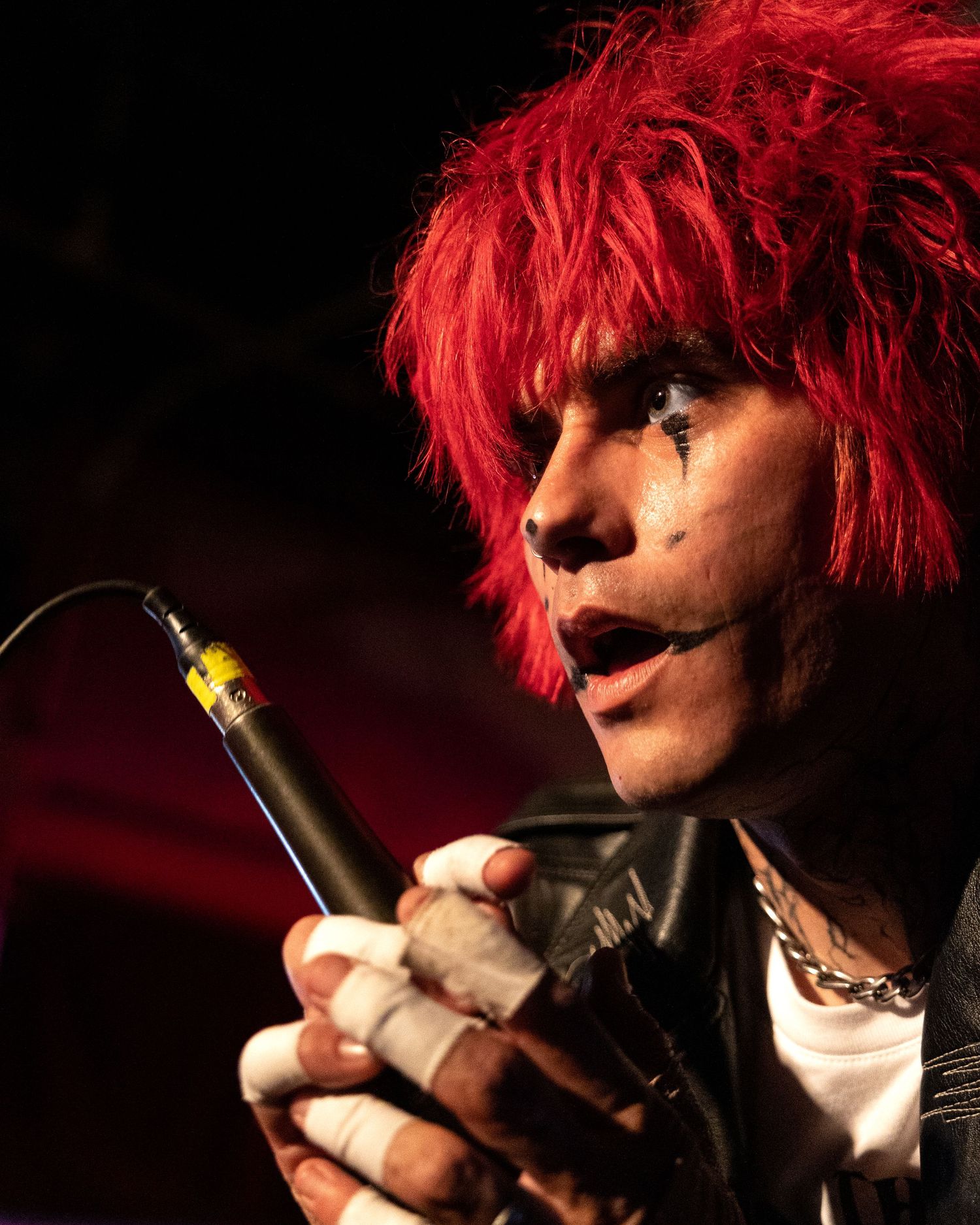 Concert Photo of 