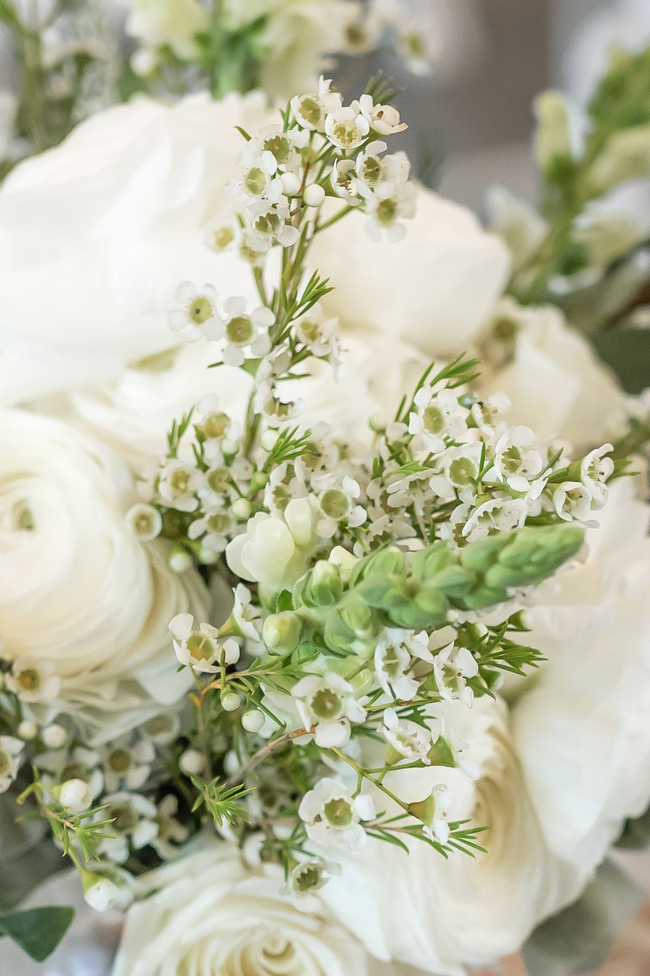 Wedding Photography by Jessa Ankers Photography