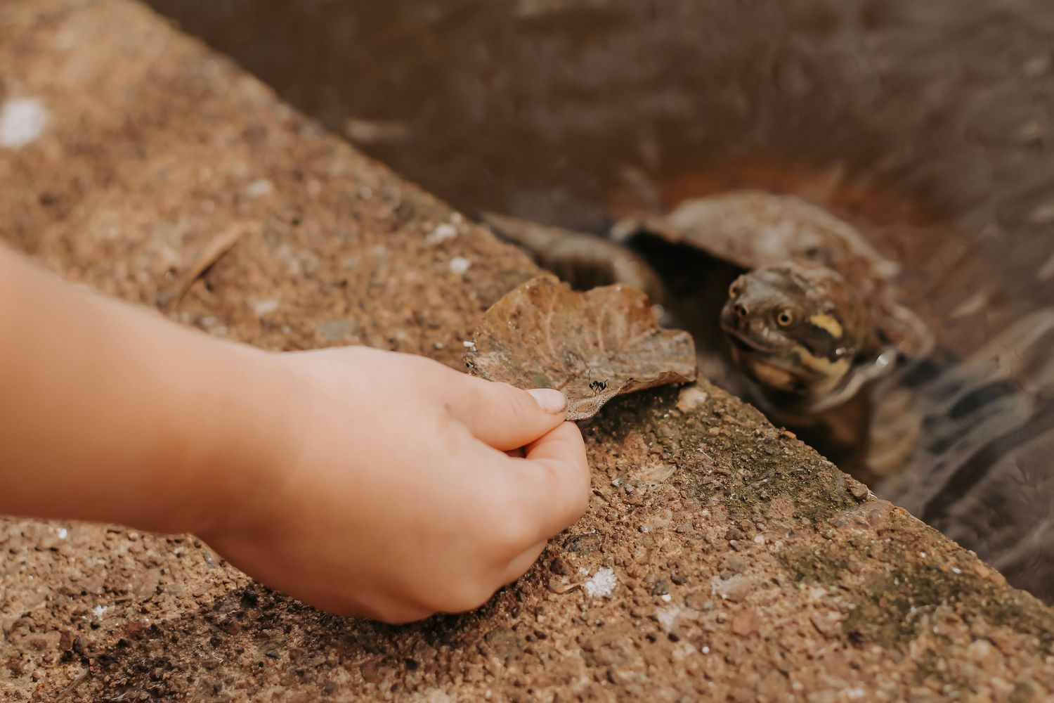 exploring hears, belly laughs, and the beginning of a lifetime of memories.