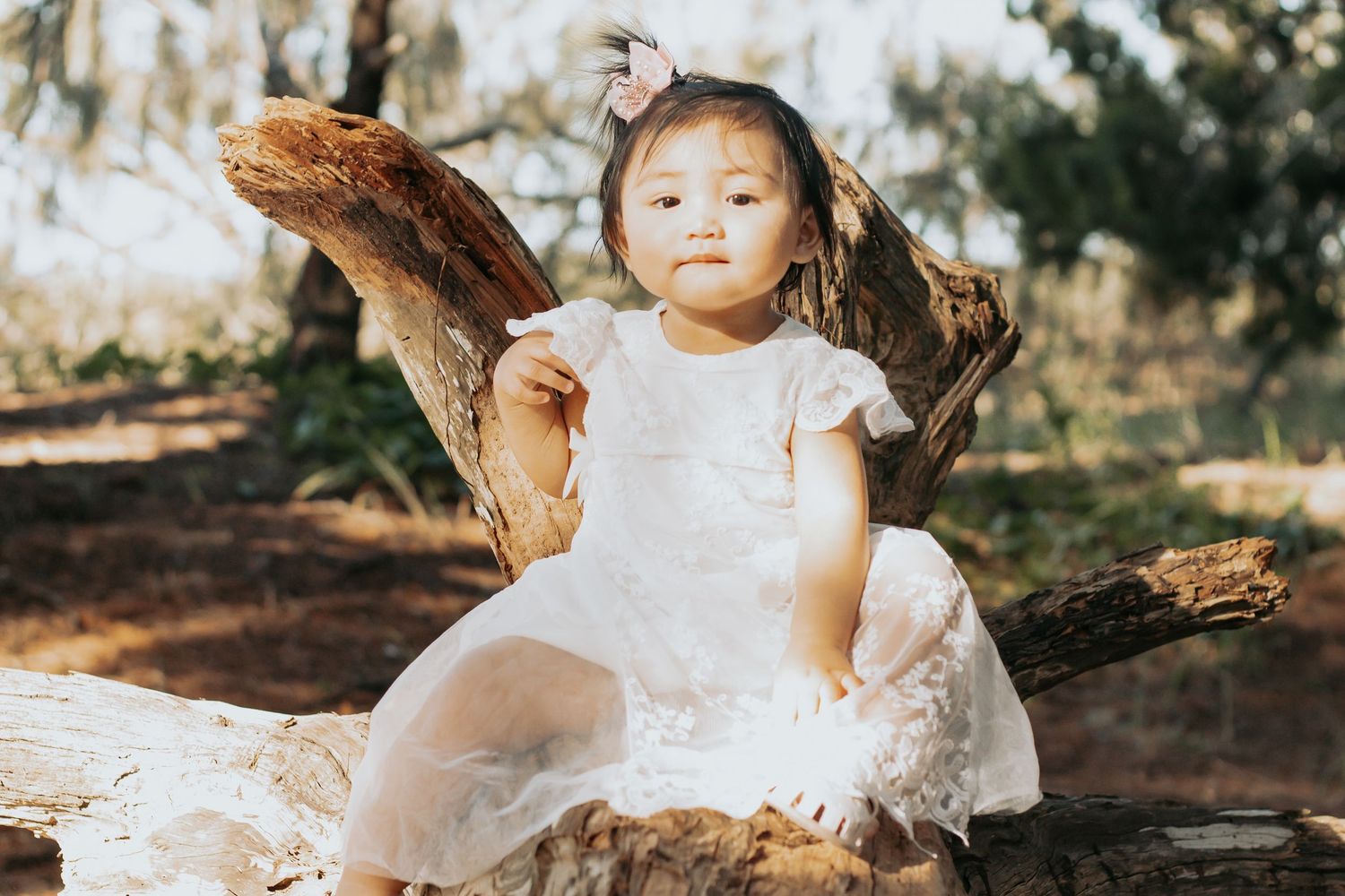 Photograph of  this young lass celebrating a 1st birthday.