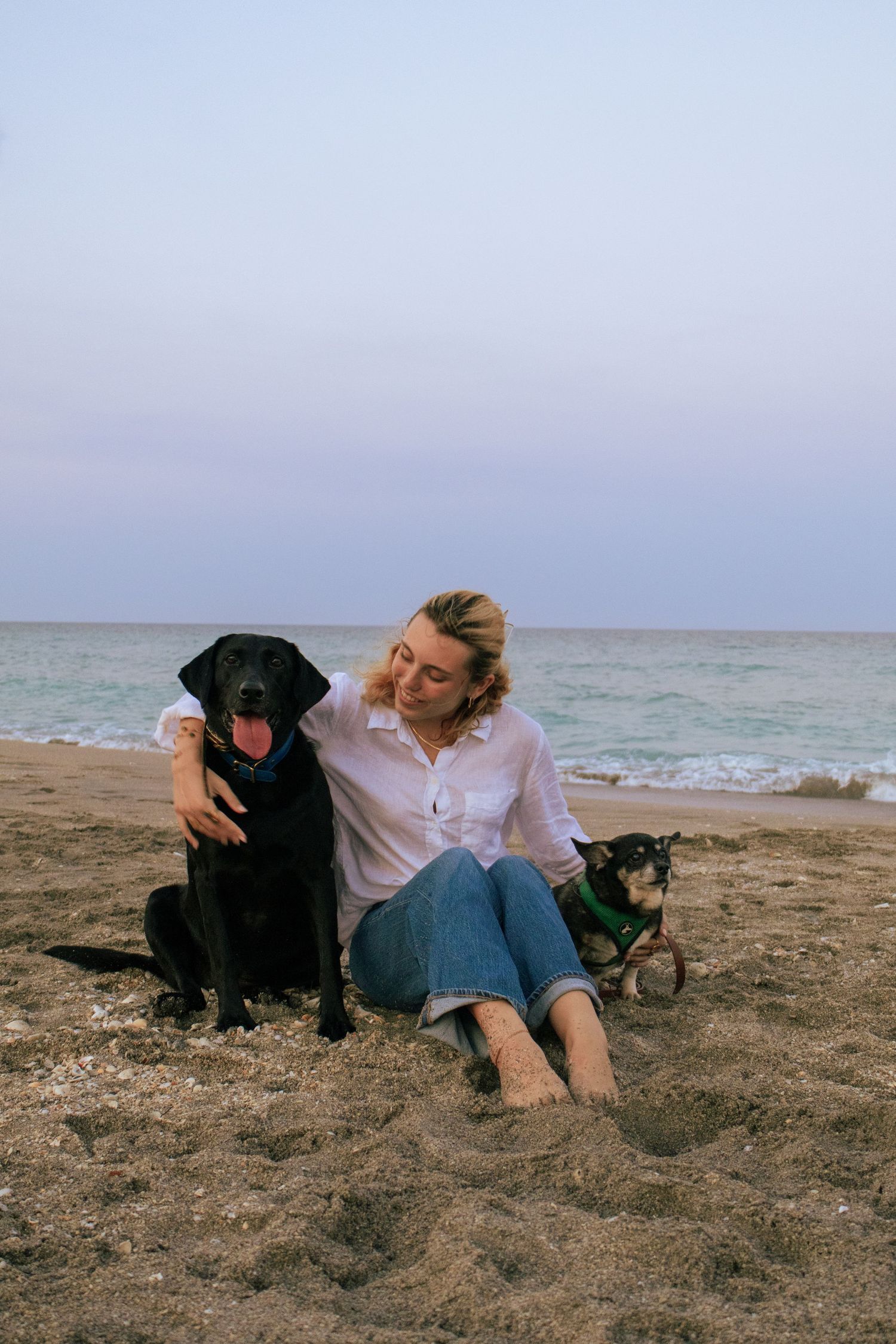 Young blonde woman sitting on beach sand with black Labrador and small dog at twilight.
