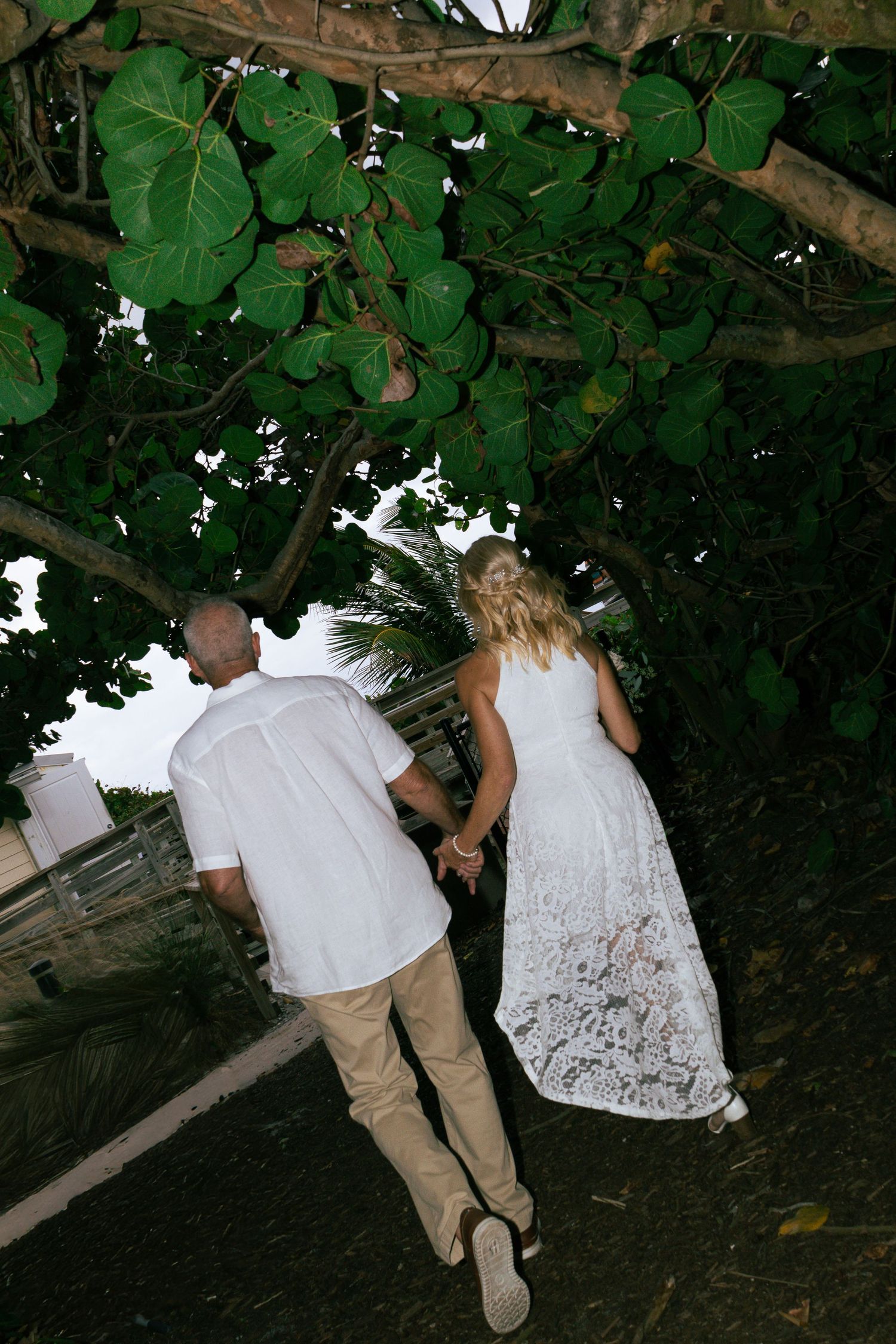 Newlywed couple walks hand in hand under lush tropical trees after ceremony.