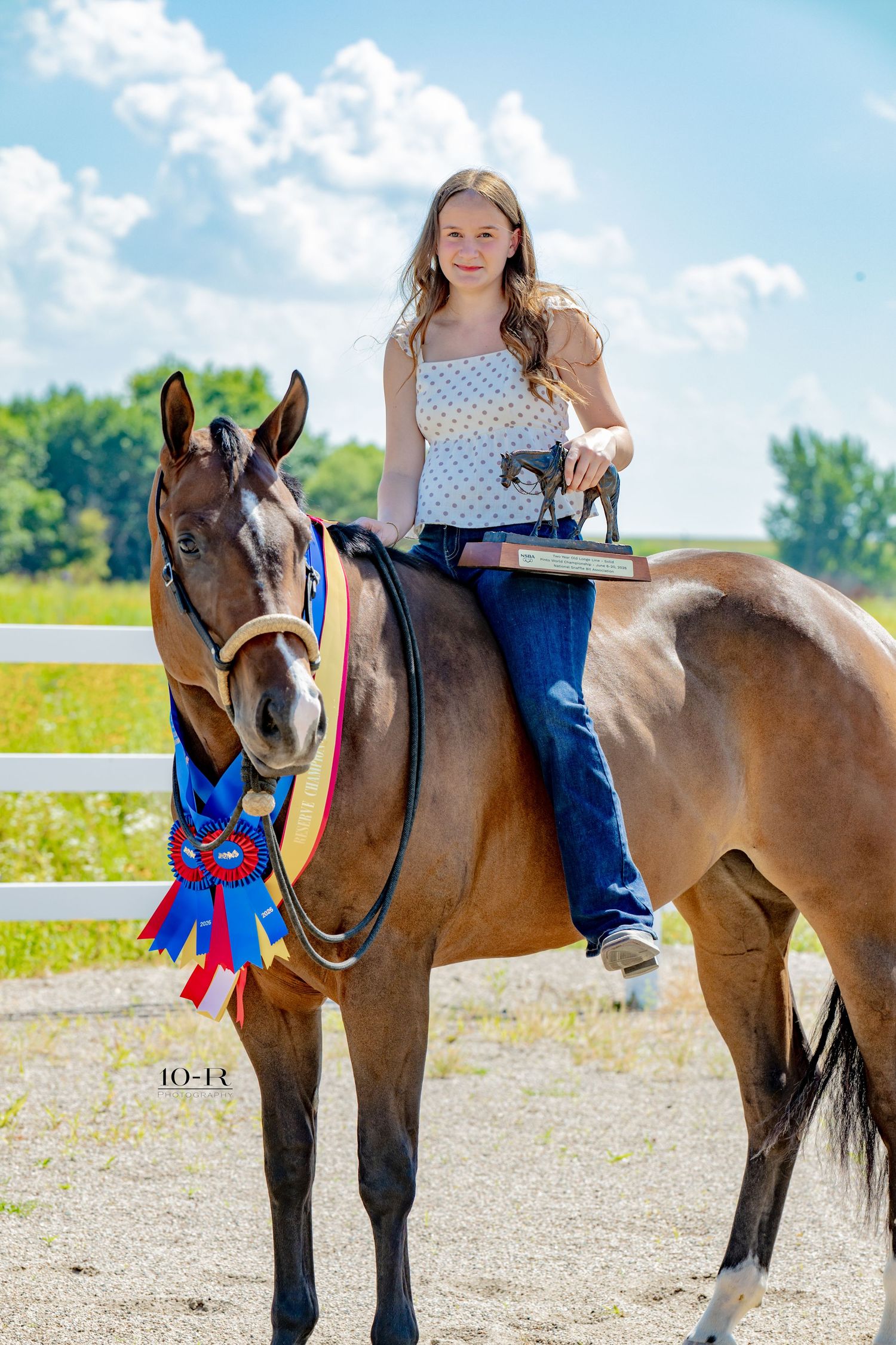 Young girl on bay horse with blue ribbon rosette holding trophy at outdoor equestrian show competition.