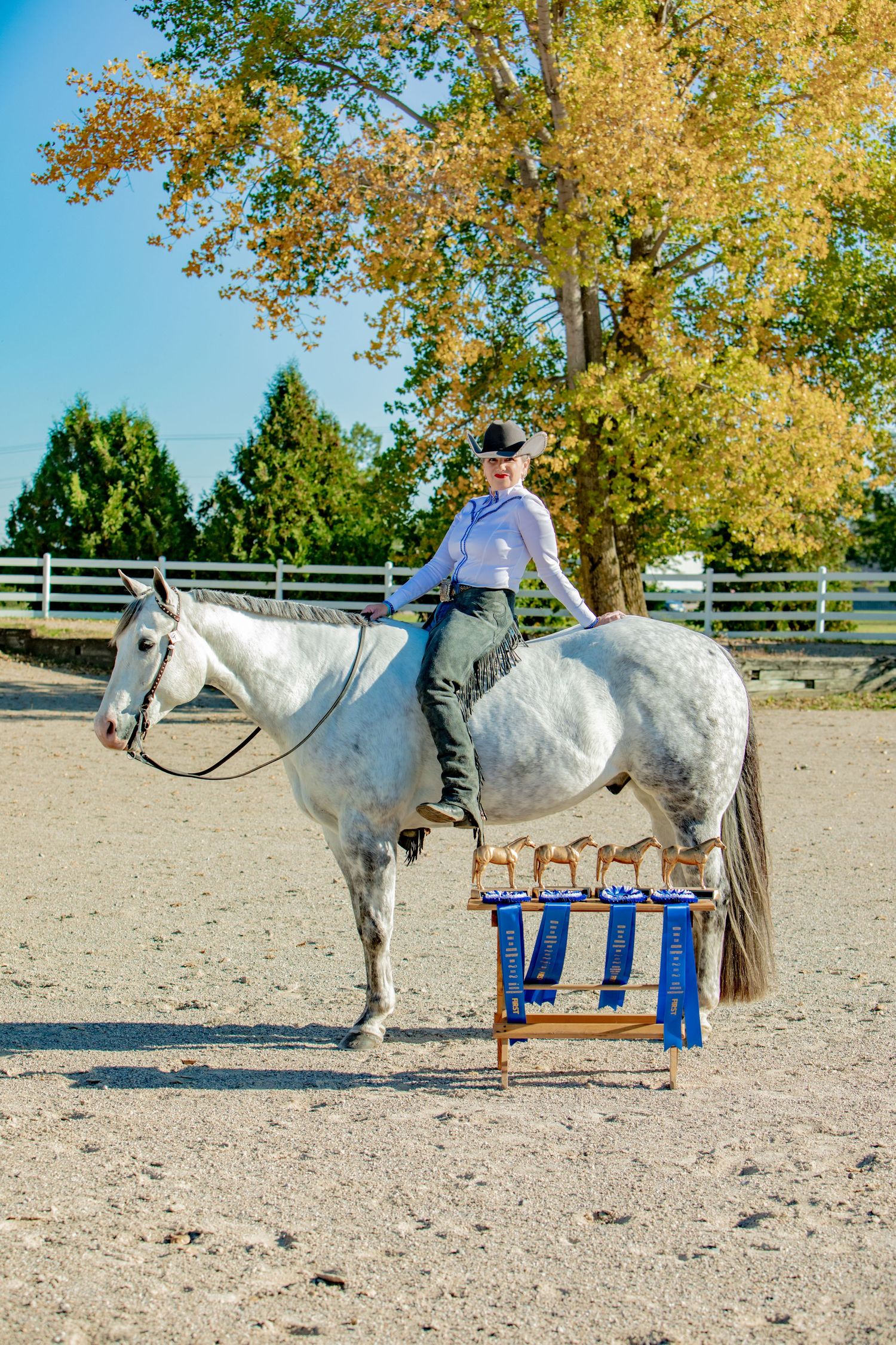 A white horse and rider stand in a sandy arena with autumn trees and white fencing in the background.