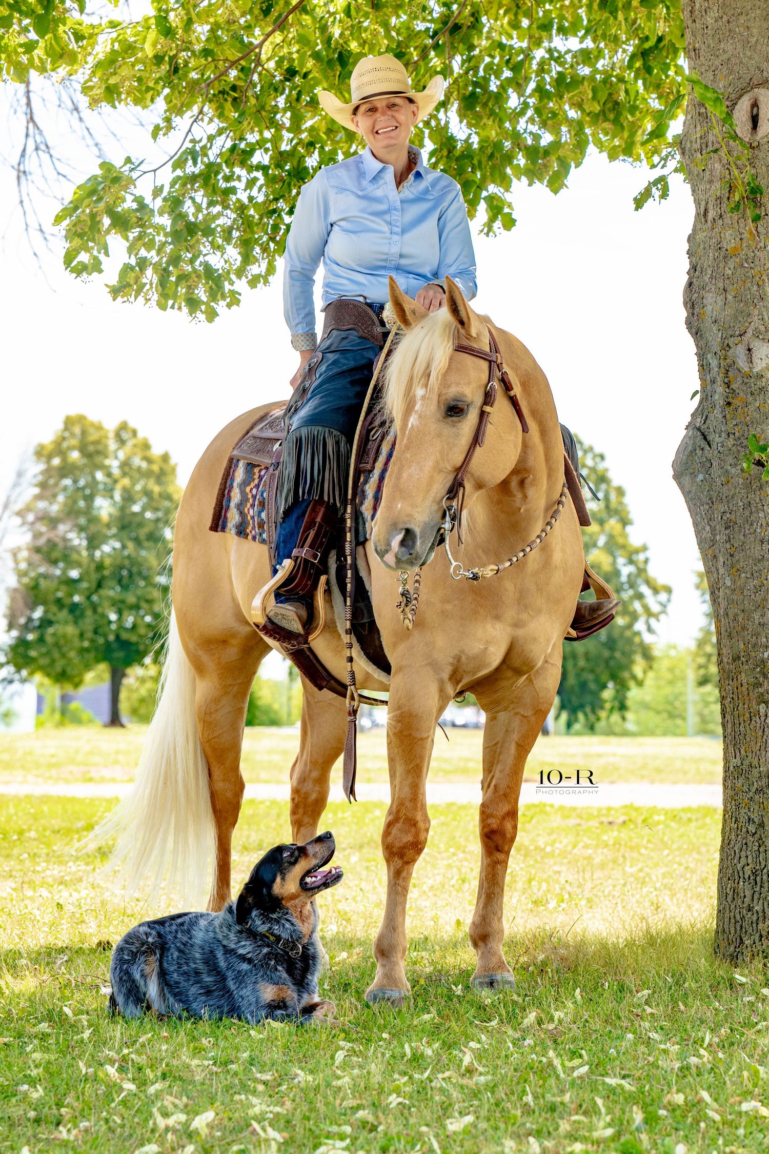 Woman in cowboy hat rides palomino horse under tree while blue heeler dog rests on grass below.