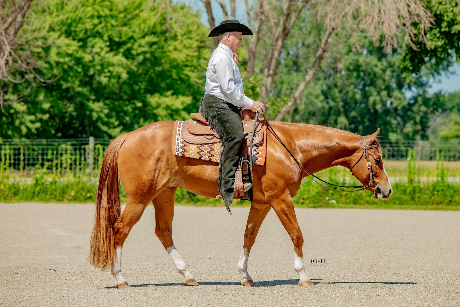 Horse and rider practicing dressage movements in an outdoor arena.