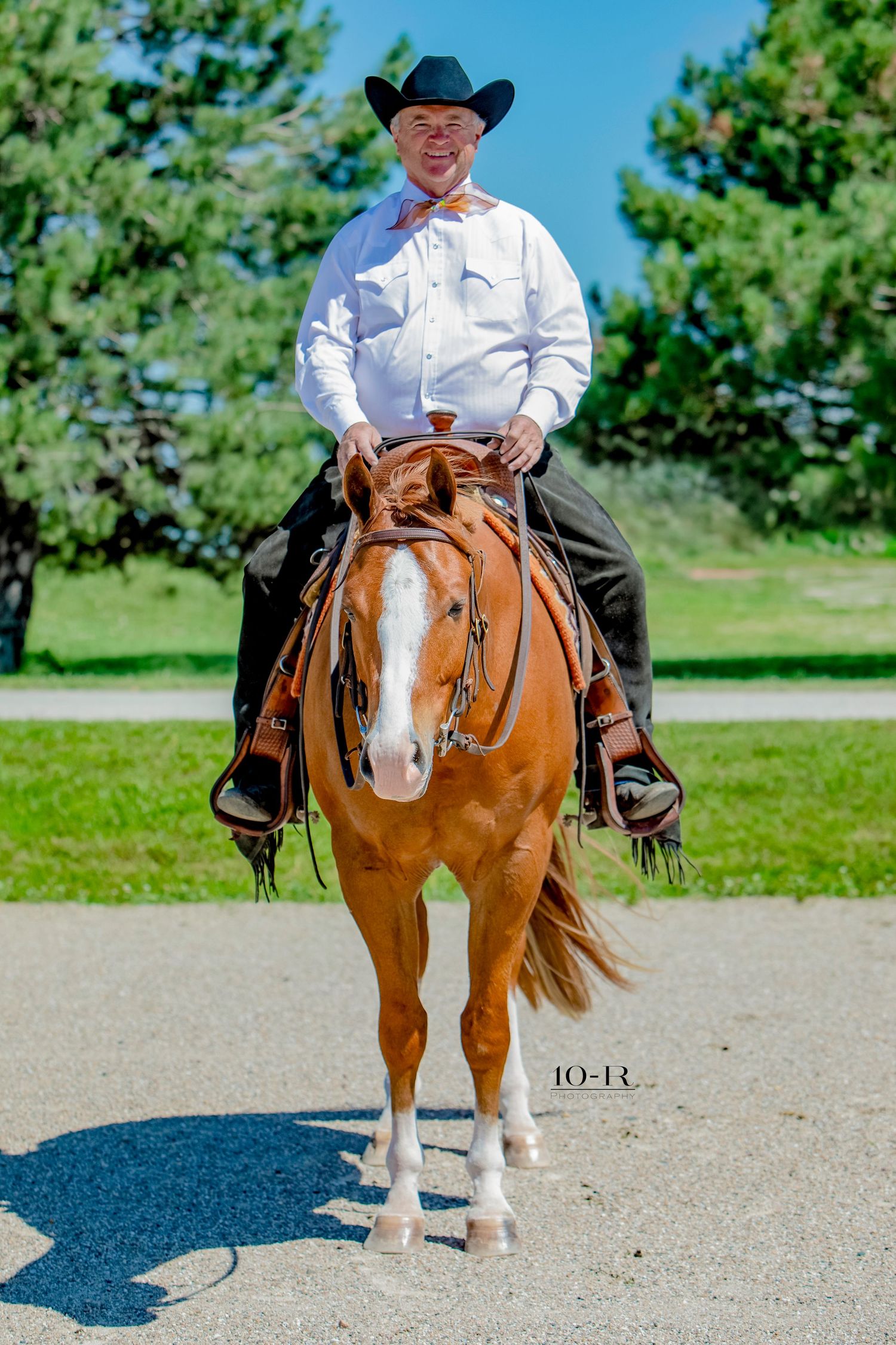 A western rider on an American Paint horse stands in a dirt arena on a sunny day with green trees in the background.