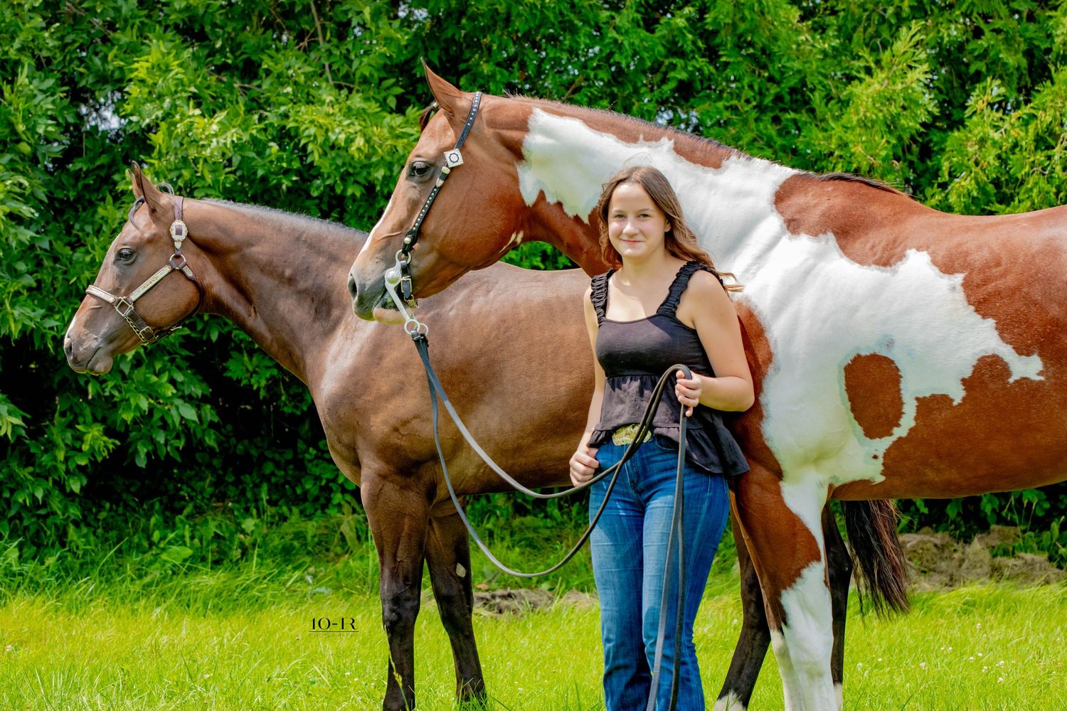 Two horses, a solid brown and a brown and white paint horse, stand together in a grassy field near green foliage.